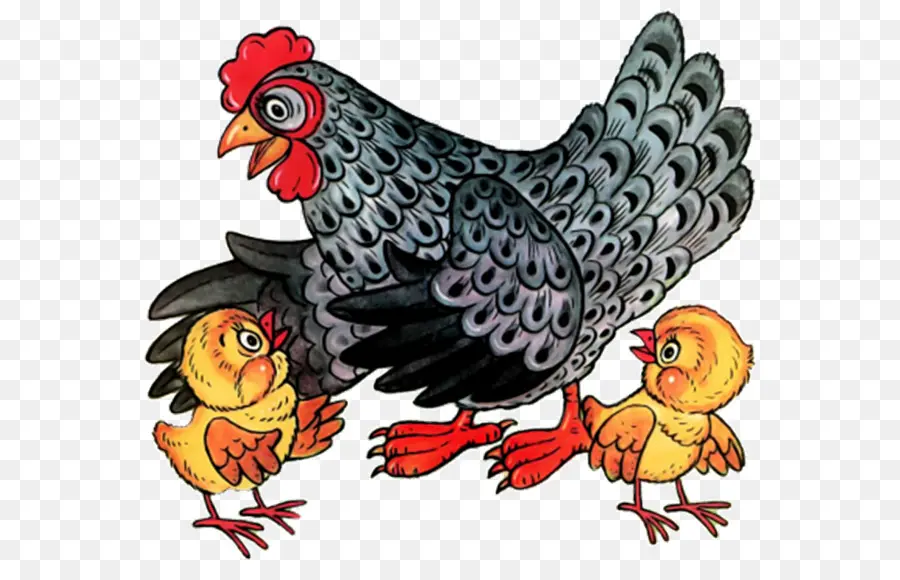 Ayam，Ayam Dan Anak Ayam PNG