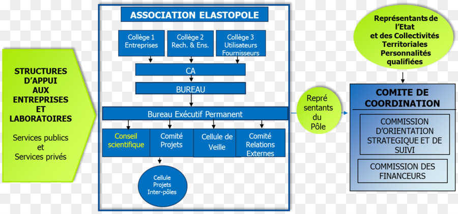 Organisasi，Asosiasi Elastopole PNG