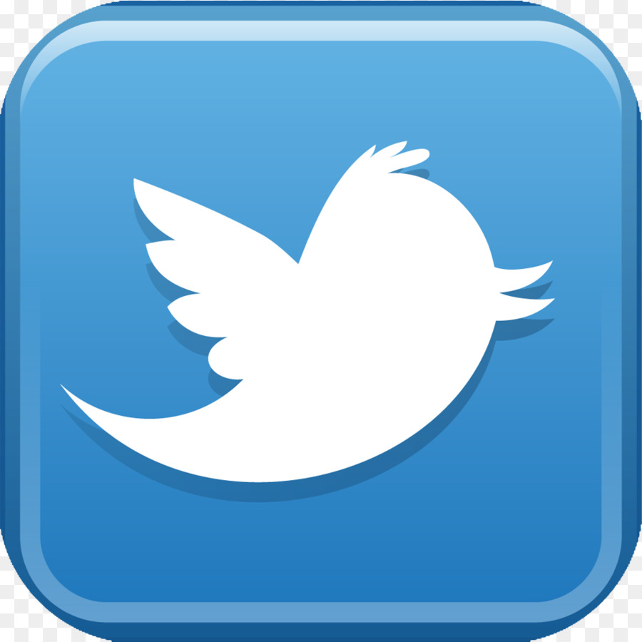 Logo Twitter，Media Sosial PNG