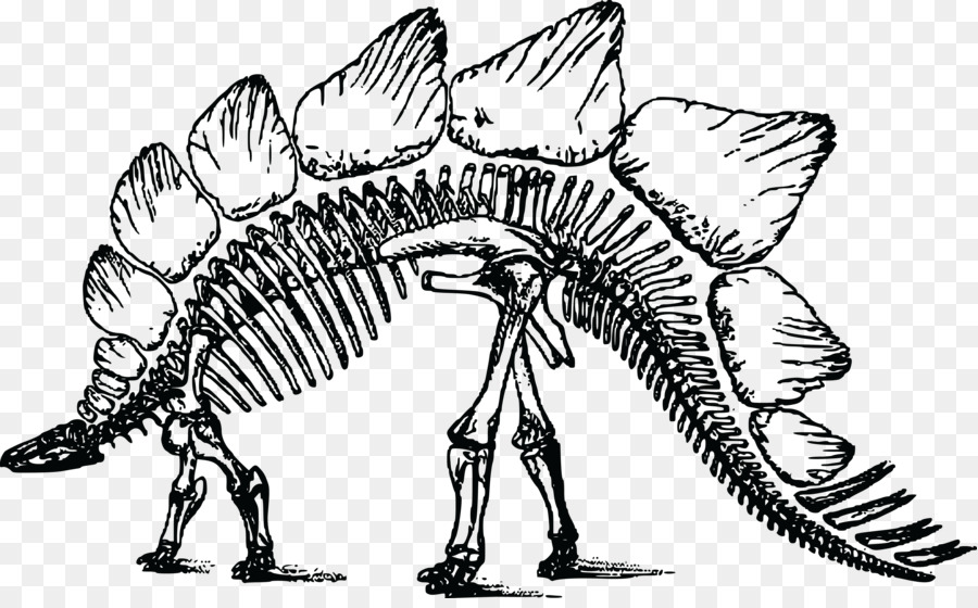 Stegosaurus，Tulang Wars PNG