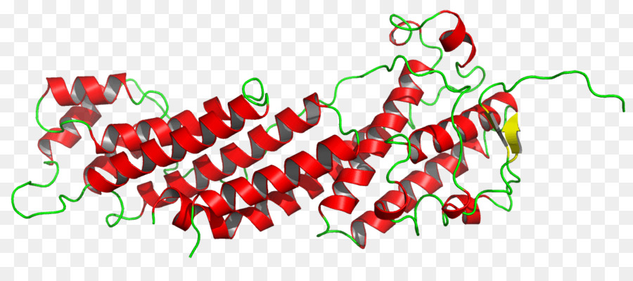 Struktur Protein，Molekul PNG