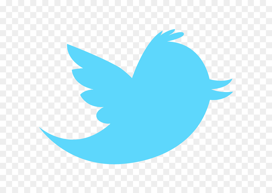 Logo Twitter Biru，Media Sosial PNG