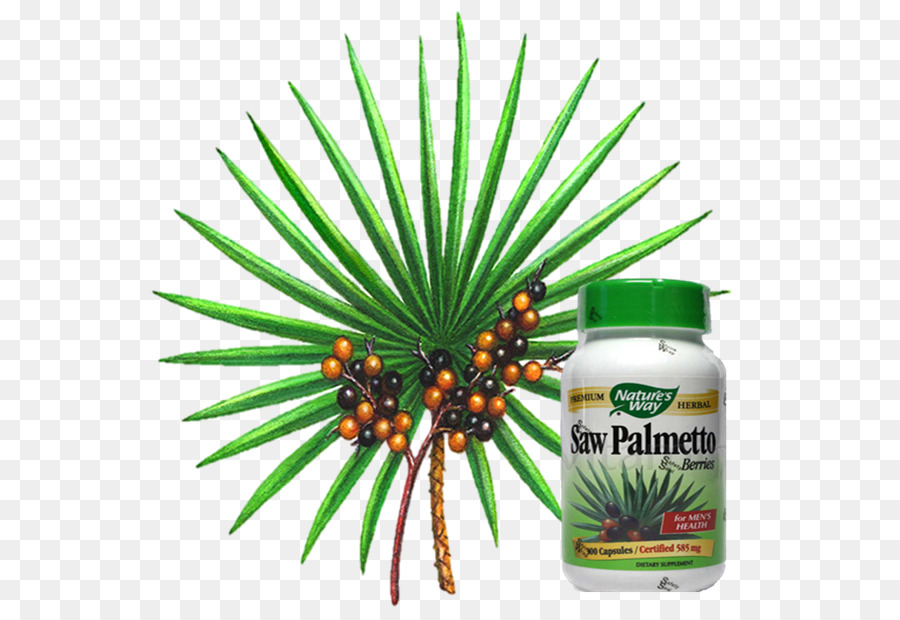 Suplemen Saw Palmetto，Kesehatan PNG