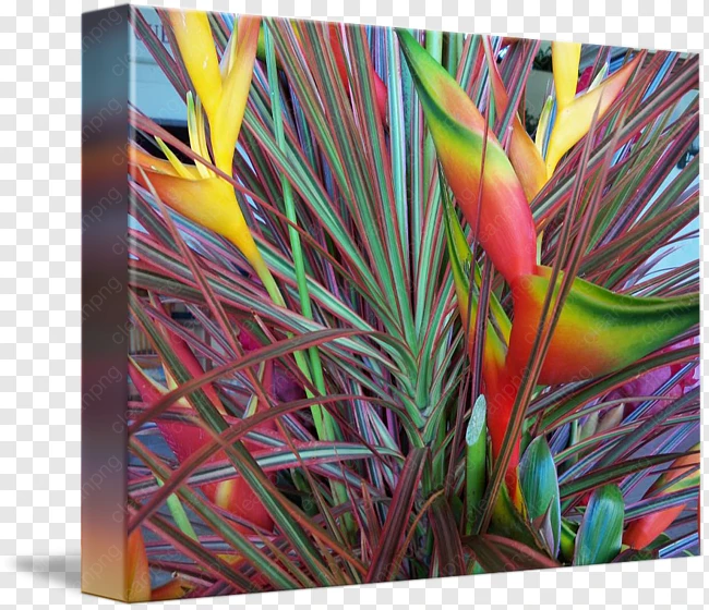 Seni Modern, Bunga, Seni gambar png