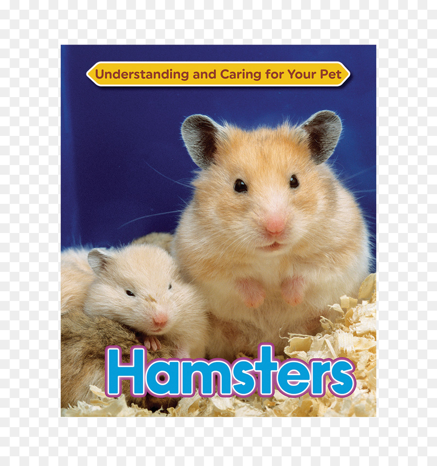 Hamster，Hamster Emas PNG