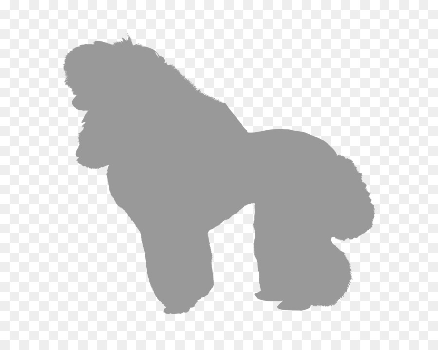 Anjing，Gorila PNG