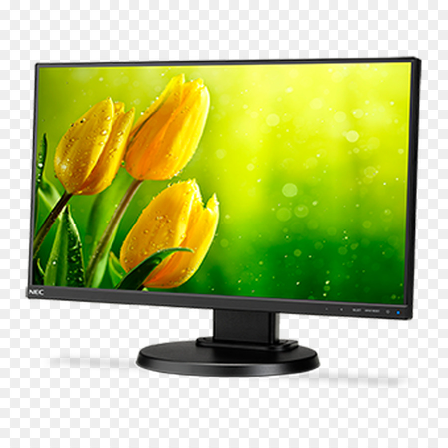 Monitor Komputer，Ledbacklit Lcd PNG