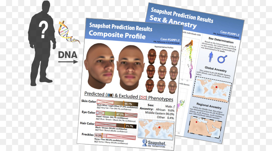 Dna Phenotyping，Polisi PNG
