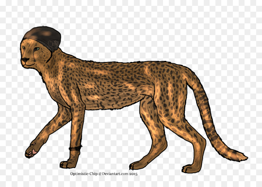 Sepatu Cheetah，Singa PNG