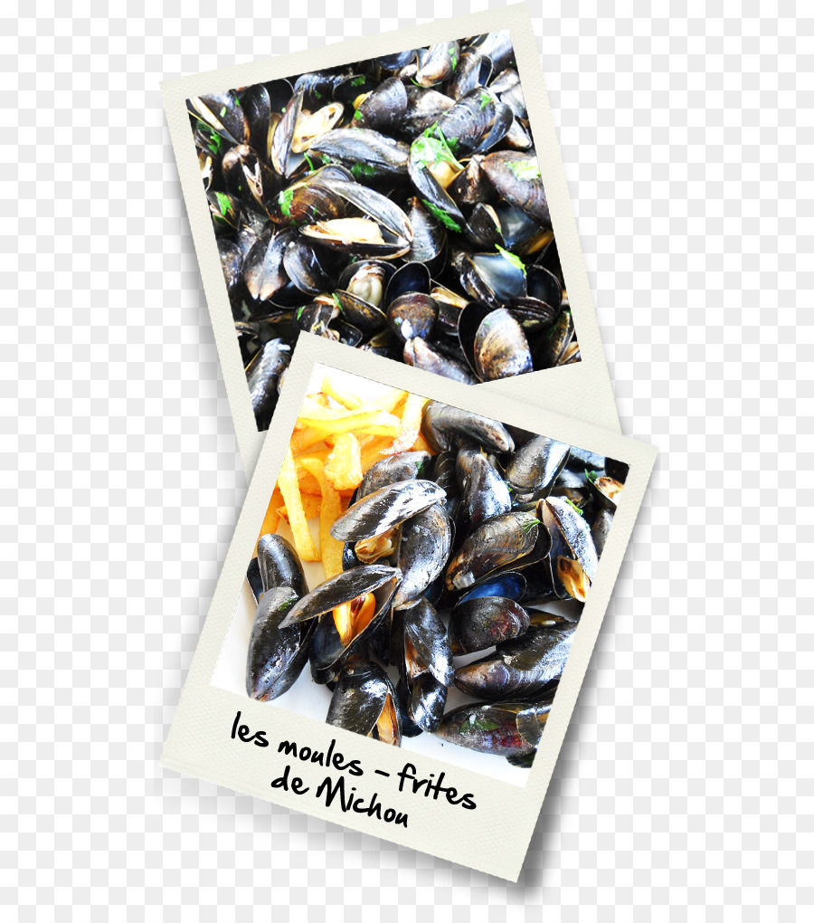 Kerang，Moulesfrites PNG