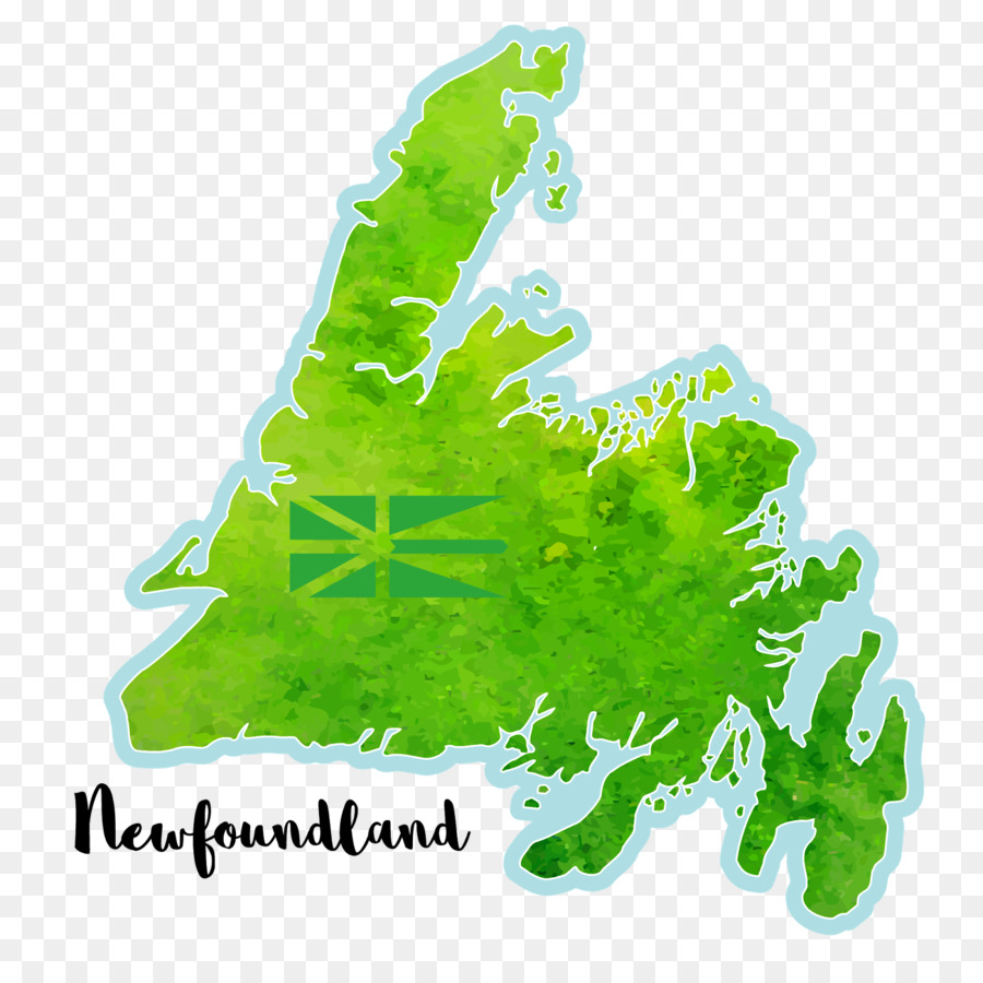 Newfoundland Dan Labrador，Daun PNG