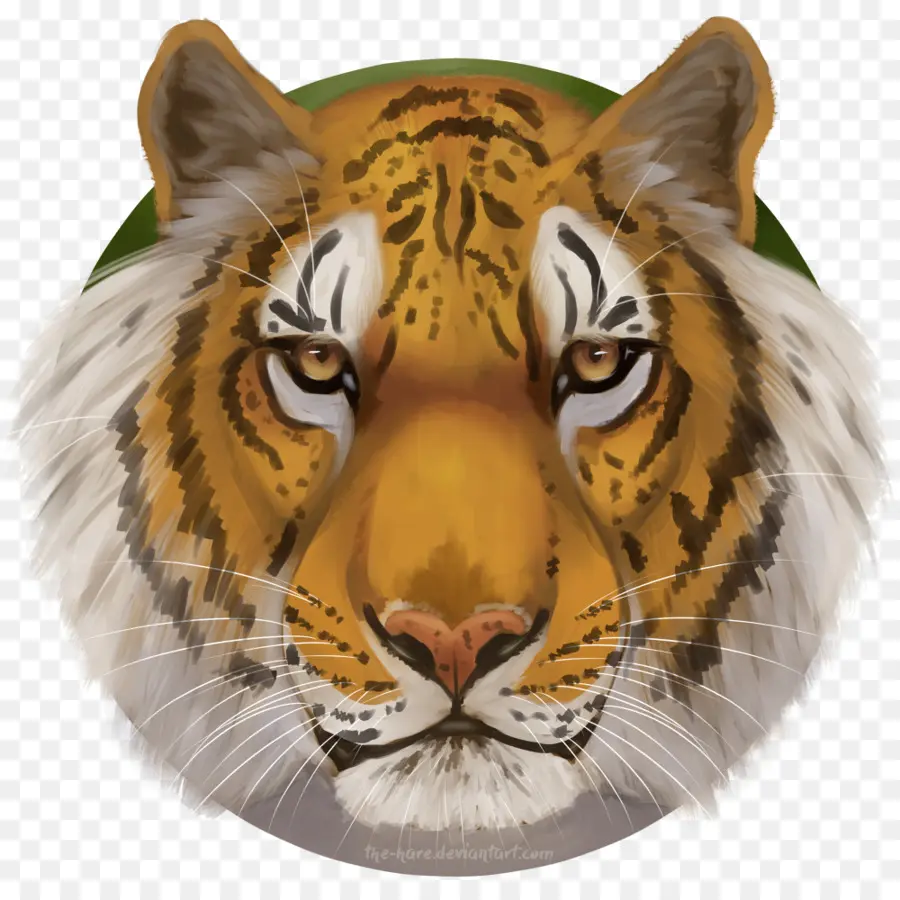 Wajah Harimau，Hewan PNG