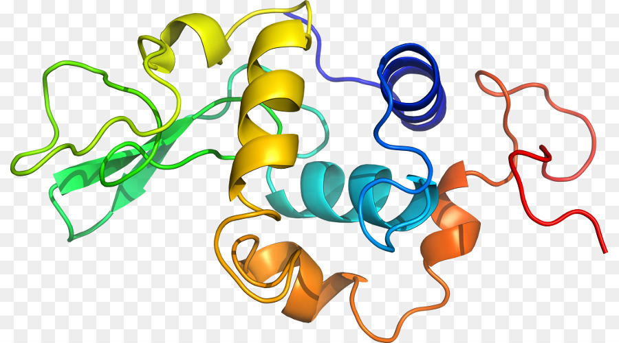 Heliks Protein，Molekul PNG