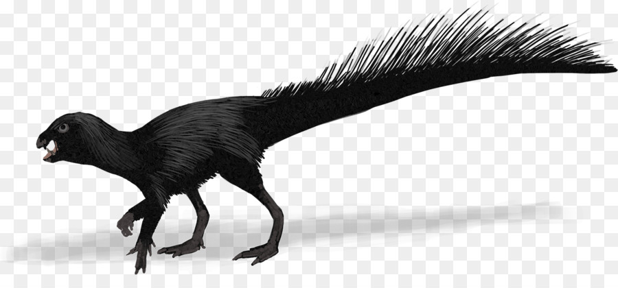 Dinosaurus，Hitam PNG