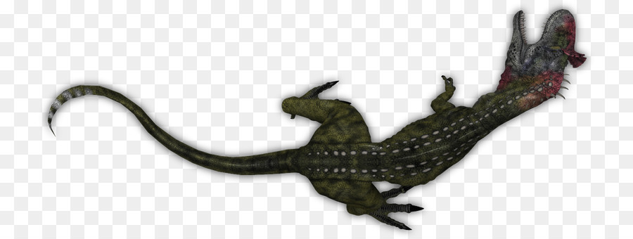 Reptil， PNG