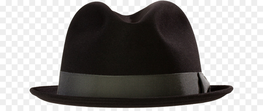 Fedora， PNG