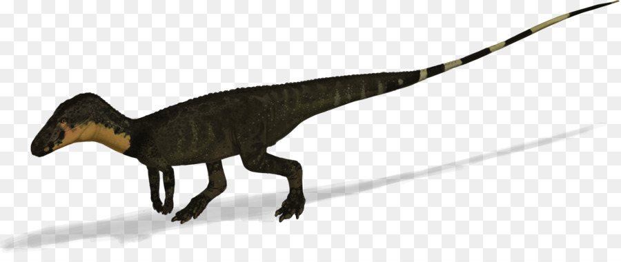 Velociraptor，Poposaurus PNG