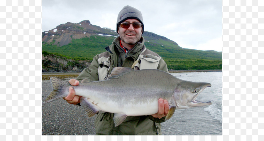 Coho Salmon，Rekreasi Memancing PNG