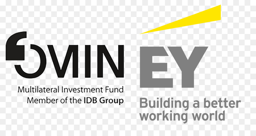 Ernst Young，Ernst Young Advisory Services Sdn Bhd 811619 M PNG