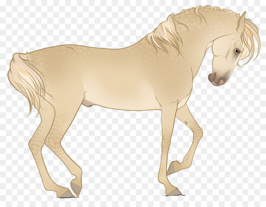 Mustang，Kuda PNG