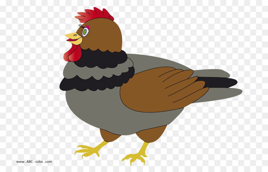 Ayam，Gambar PNG