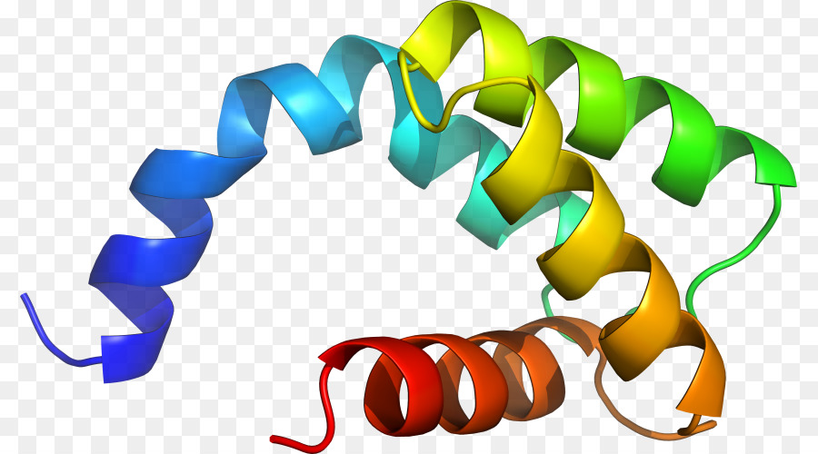 Heliks Protein，Molekul PNG