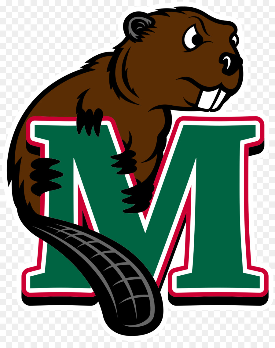 Minot State University，Minot State Beavers Sepak Bola PNG