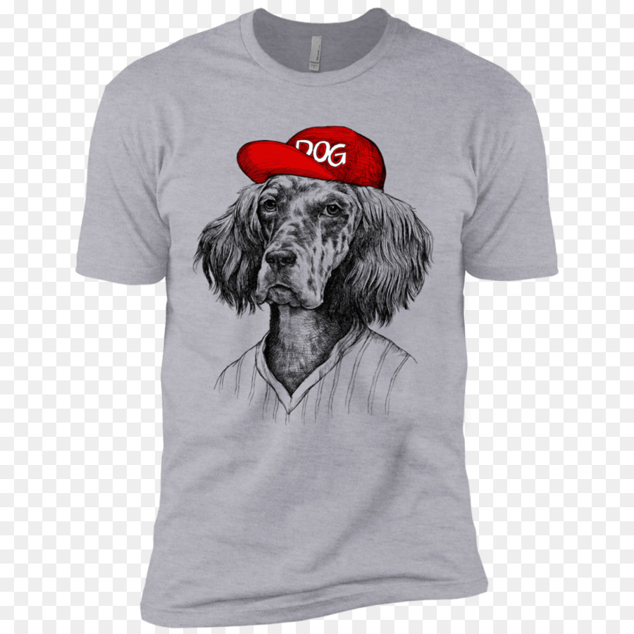 Anjing Dengan Topi，Kaos PNG