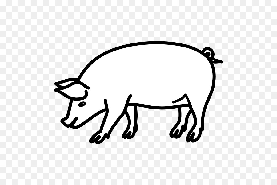 Babi，Peternakan PNG