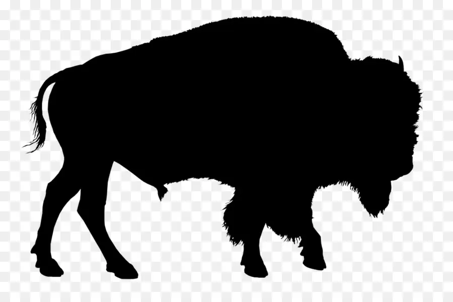 Bison Amerika，Muskox PNG