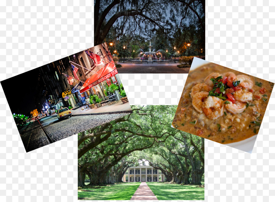 Metamorfosis Cerita Dia Mungkin Memberitahu，Oak Alley Plantation PNG