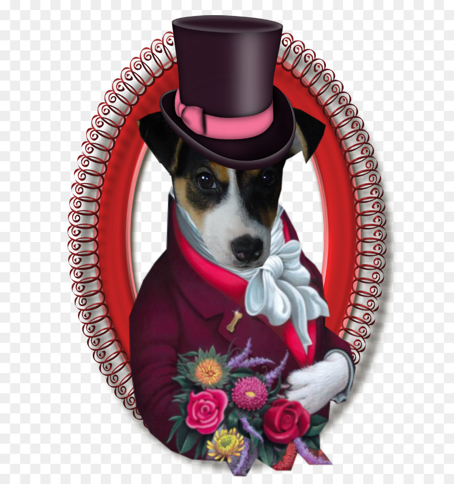 Anjing Berkembang Biak，Rat Terrier Tiga PNG