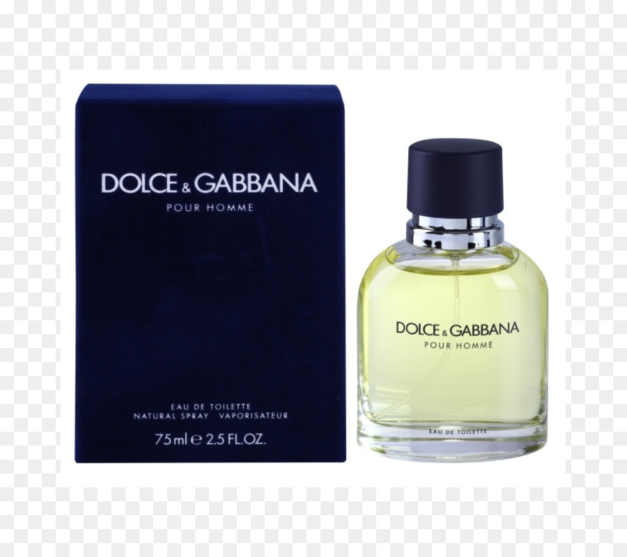 eau de toilette dolce gabbana pour homme