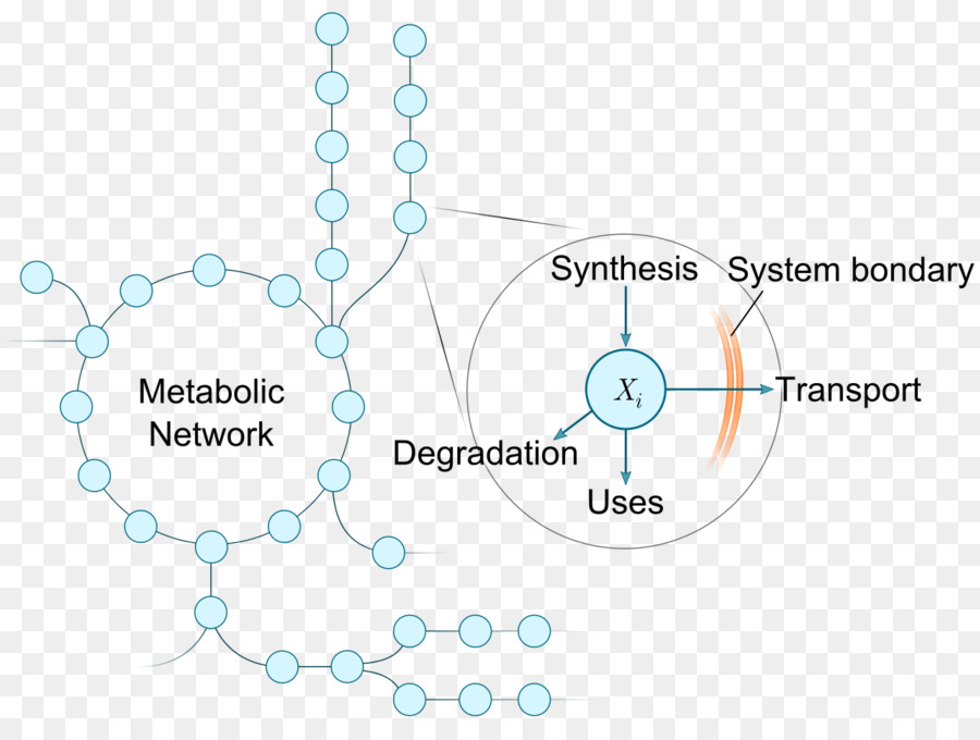 Diagram，Kimia PNG