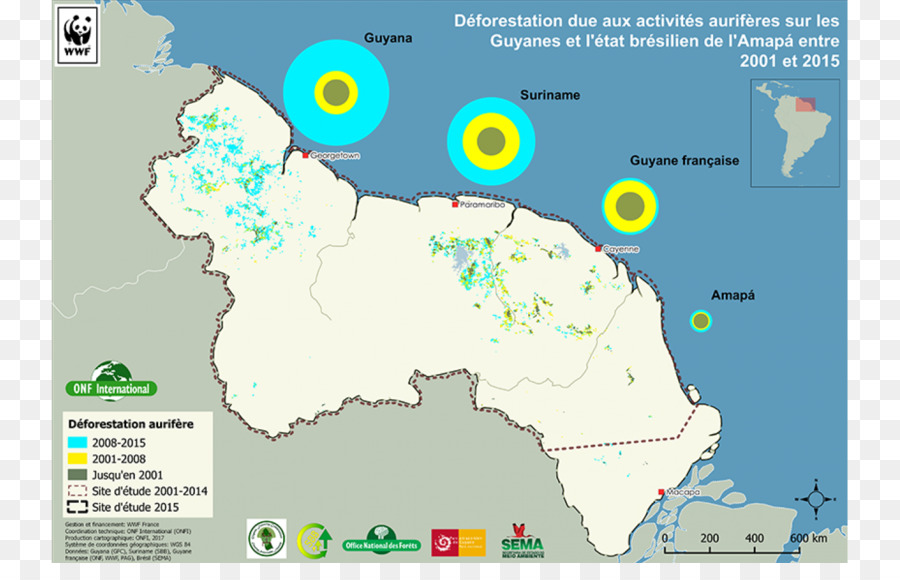 Guyana Shield，Hutan Amazon PNG