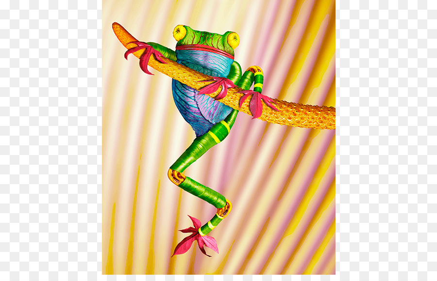 Katak Pohon，Fotografi PNG