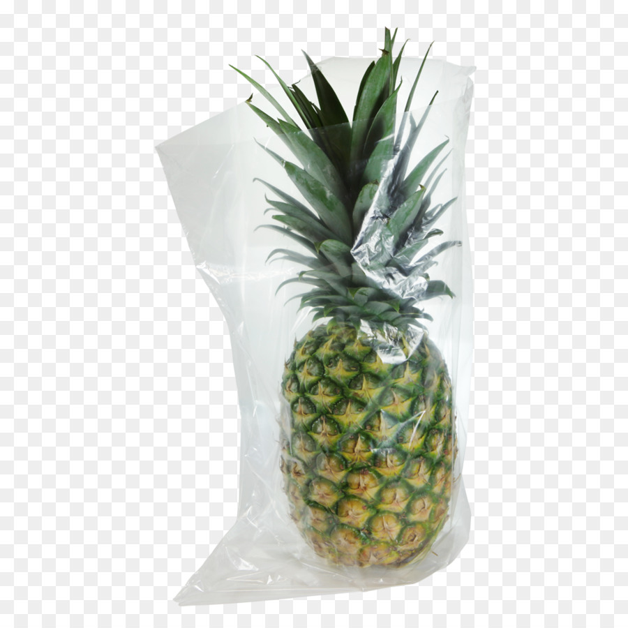 Nanas，Pot Bunga PNG