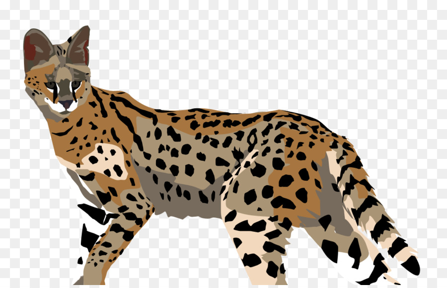 Sepatu Cheetah，Ocelot PNG