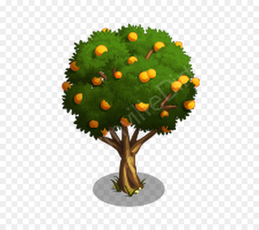 Pohon，Pohon Buah PNG