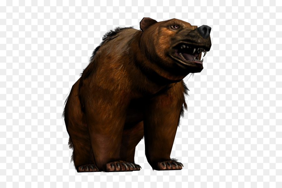 Beruang Grizzly，Beruang PNG