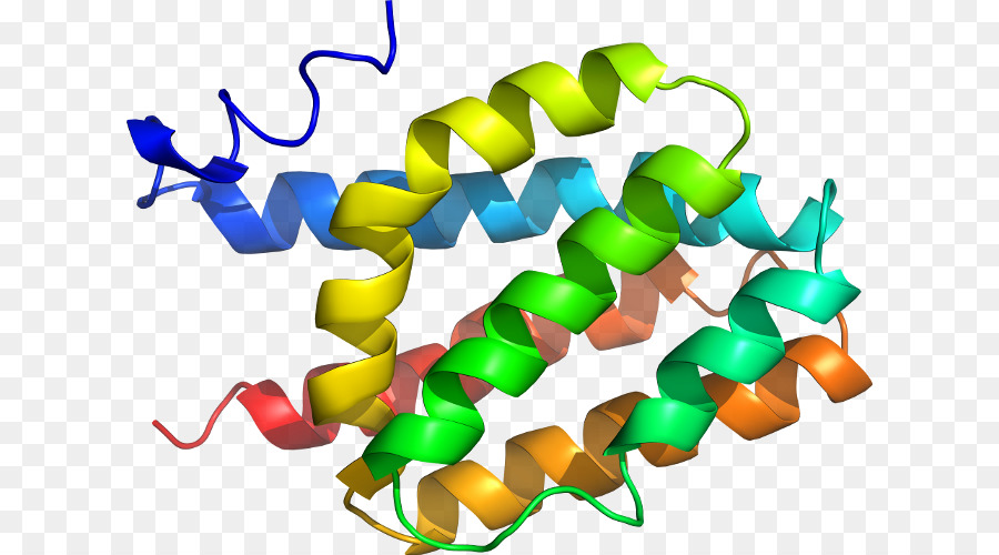 Heliks Protein，Molekul PNG