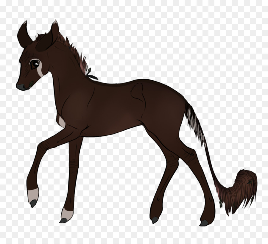 Kuda，Mustang PNG