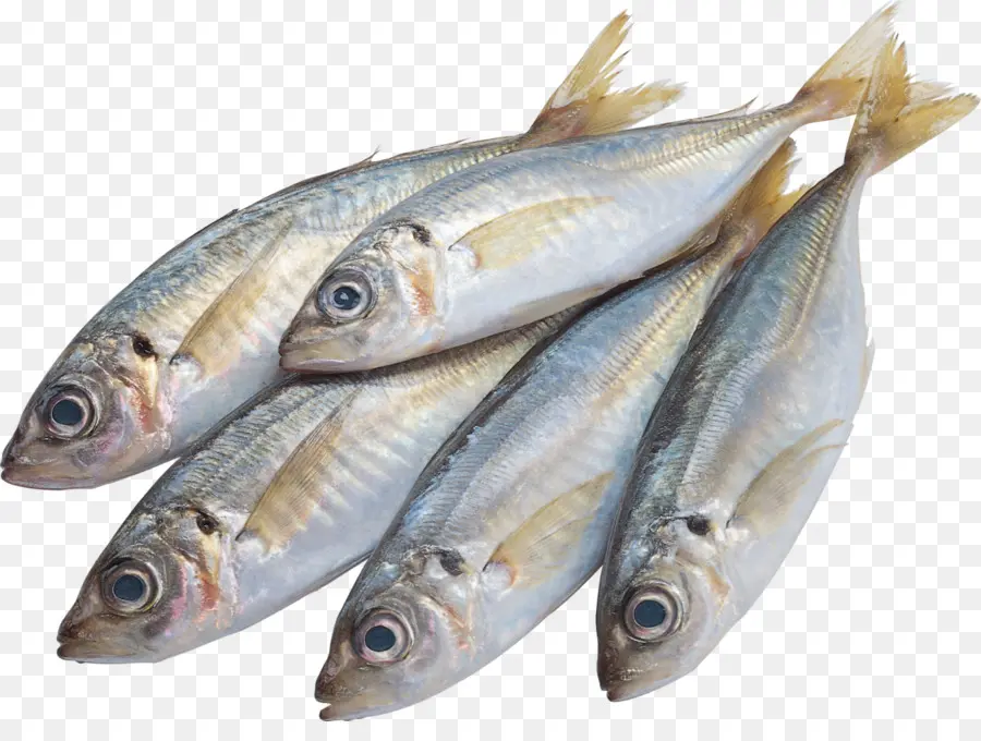 Ikan，Hidangan Laut PNG