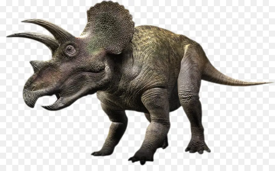 Triceratop，Prasejarah PNG