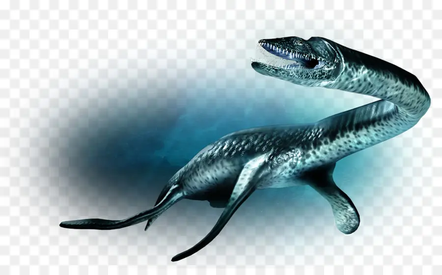 Plesiosaurus，Laut PNG