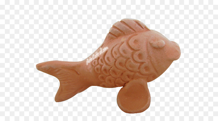 Ikan， PNG