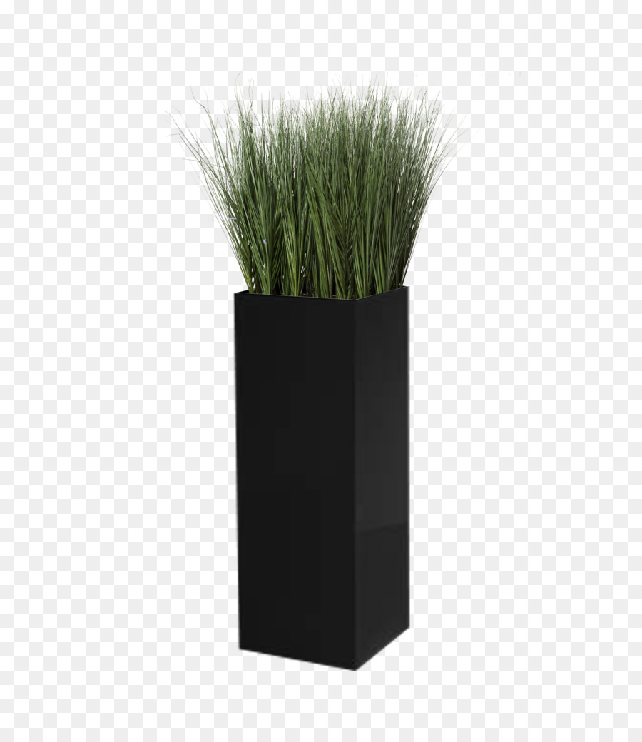 Rumput，Pot Bunga PNG