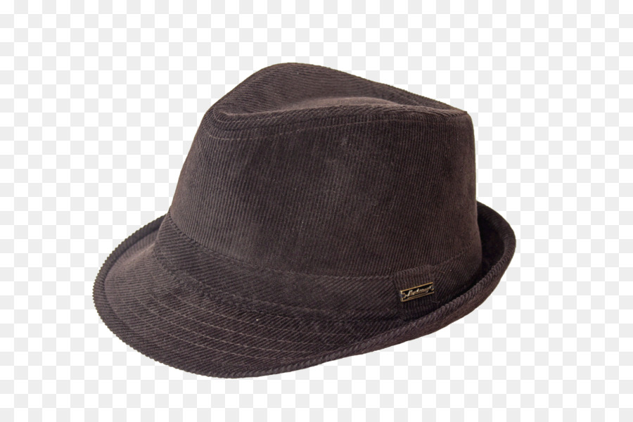 Fedora，Topi PNG