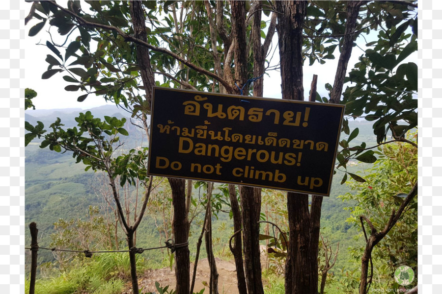 Taman Nasional Gunung Mulu，Alam PNG