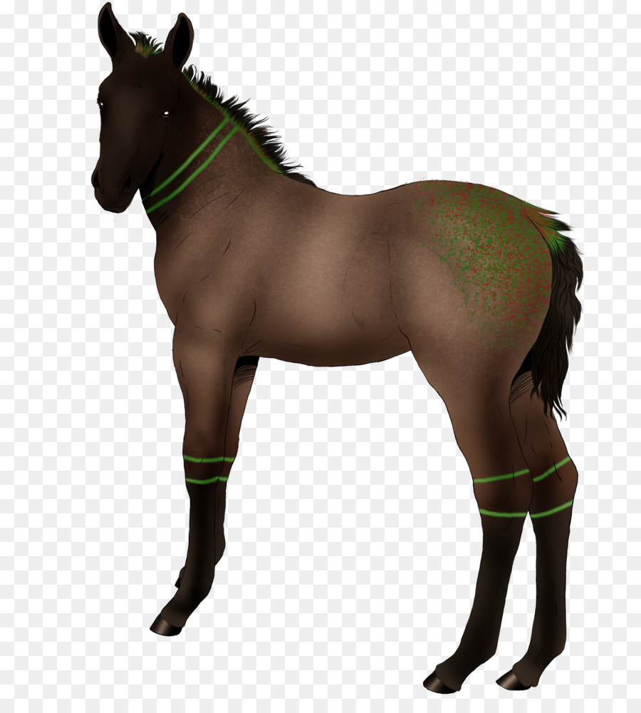 Mustang，Kuda PNG